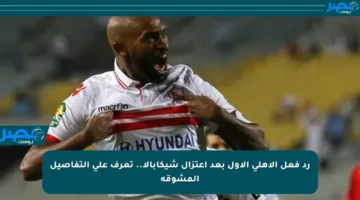 رد فعل الأهلي الأول بعد اعتزال شيكابالا.. تعرف على التفاصيل المشوقة
